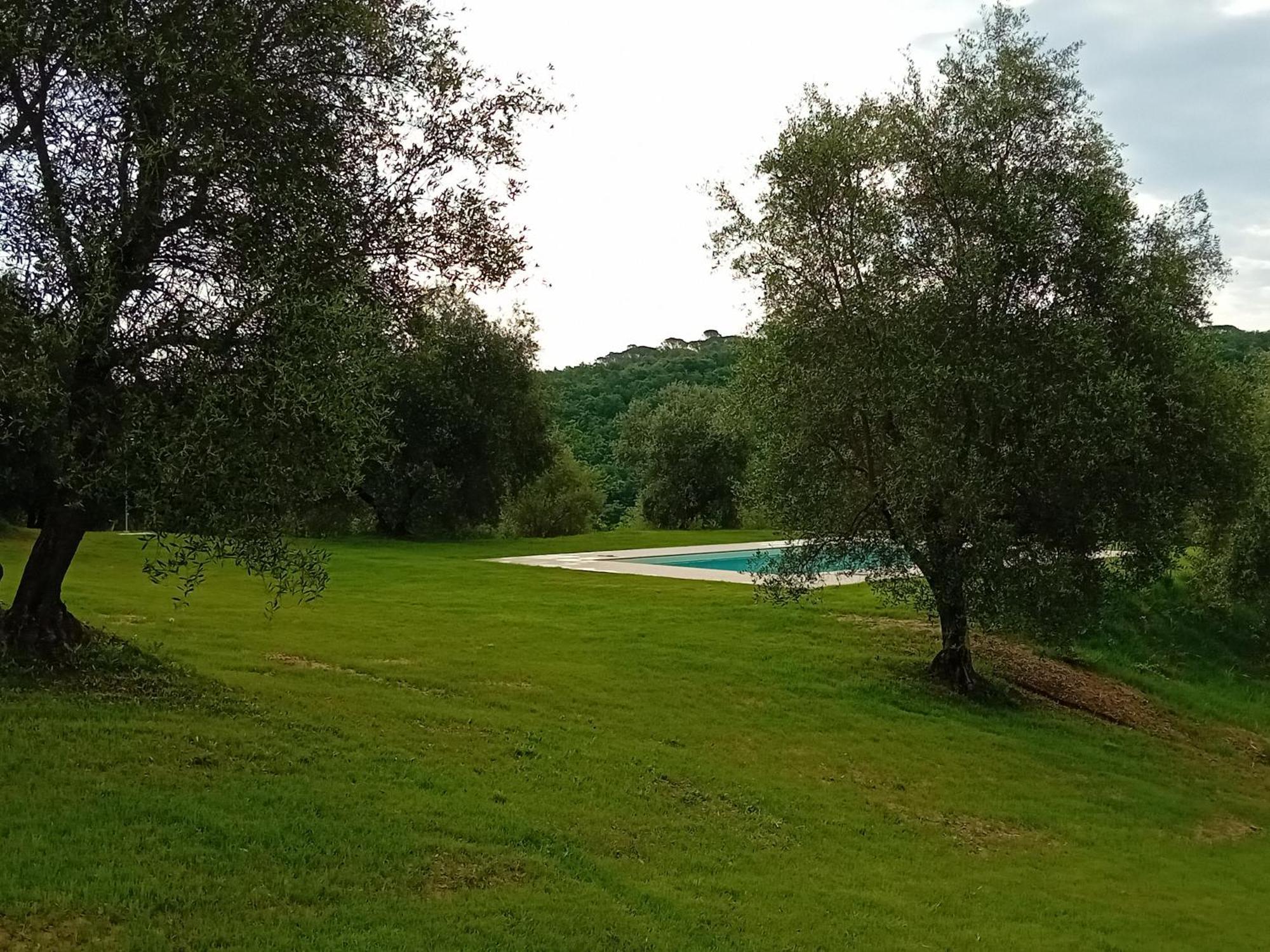 Podere Lucignano Secondo Agriturismo Gaiole in Chianti Exteriör bild
